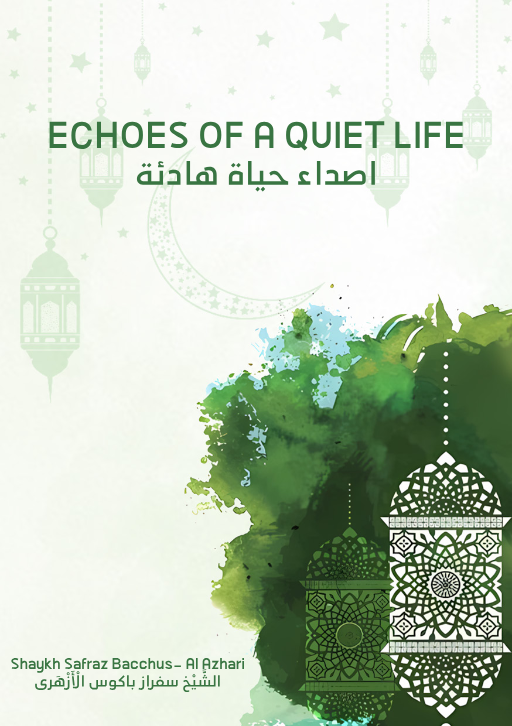 Cover of Echoes of a Quiet Life
